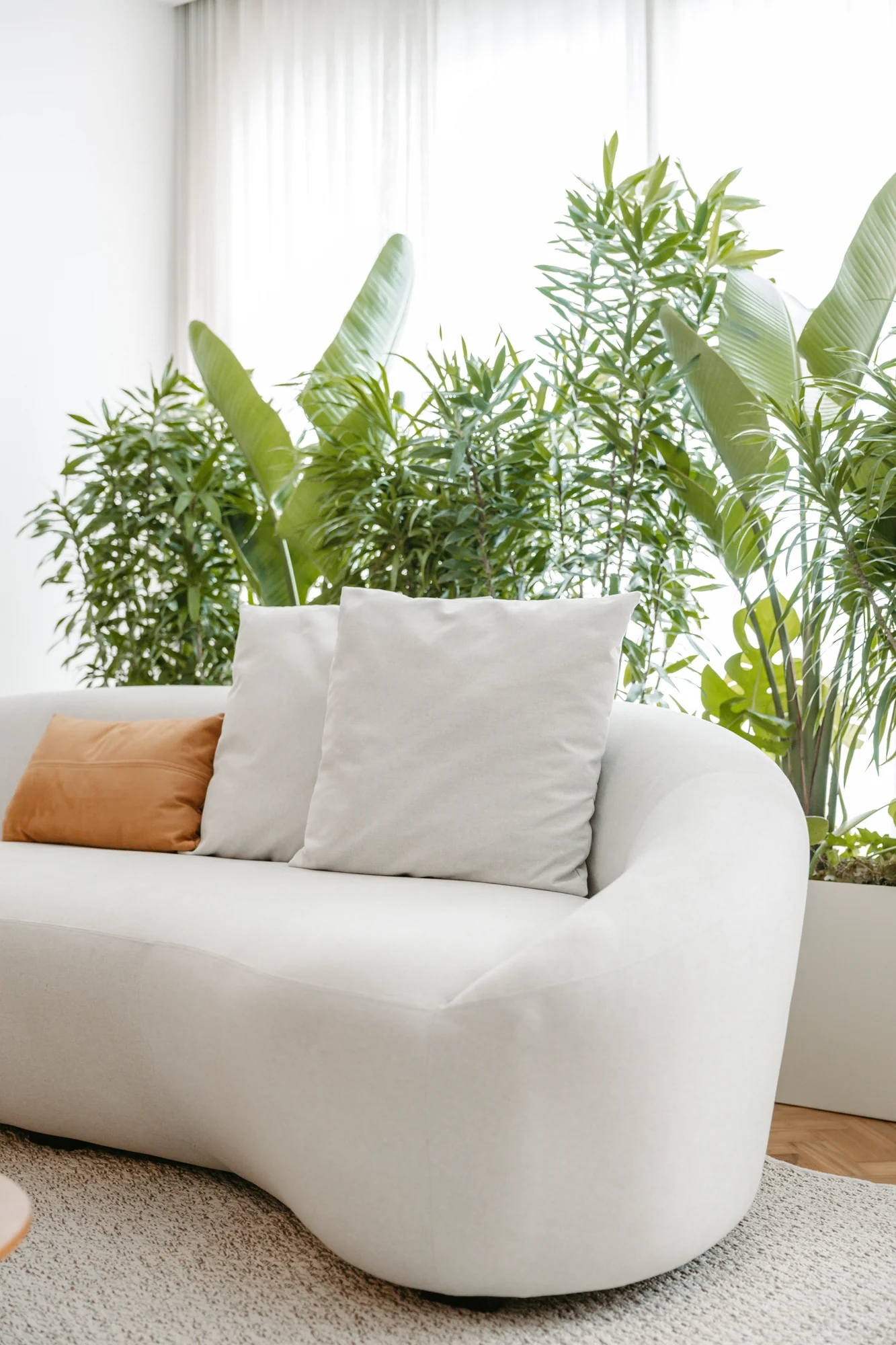 Sofá curvo branco junto às plantas da varanda envidraçada